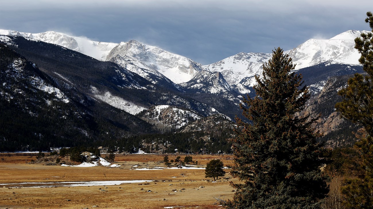 Rocky Mountain National Park - M. Reed Conifer trees looking over a winter landscape.