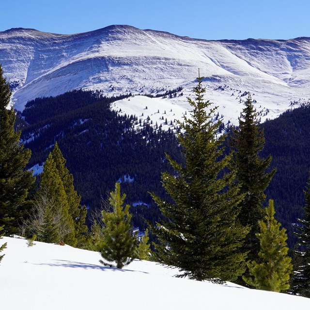 Snow-covered mountain face