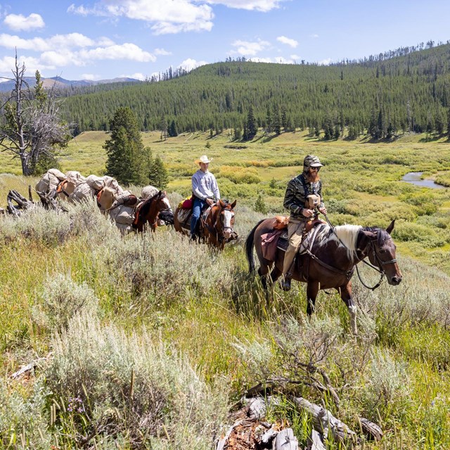 Horseback riders in Yellowstone
