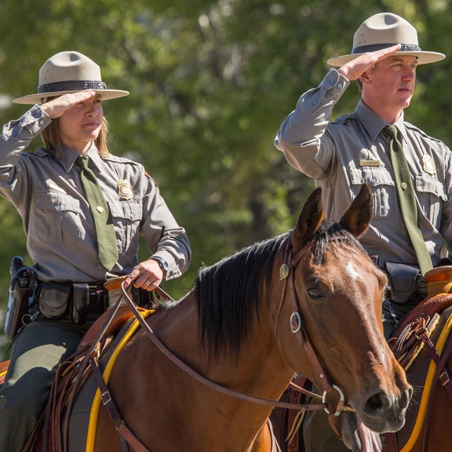 Two rangers on horseback salute during a ceremony.