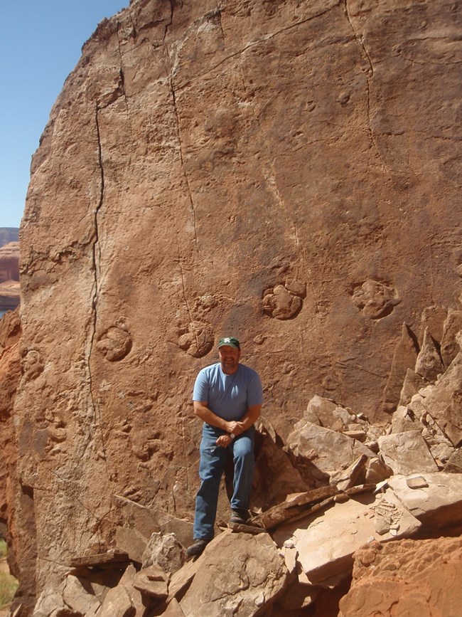 Picture4 Photo of a person standing next to a large boulder face with a track of dinosaur footprints clearly visable.